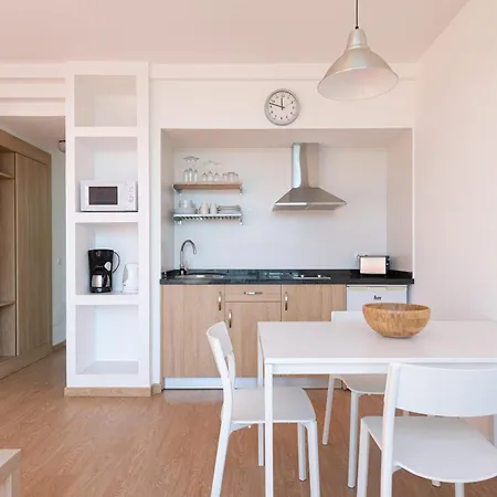 Cordial Judoca (adults Only)