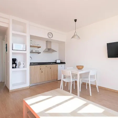 Cordial Judoca (adults Only) *