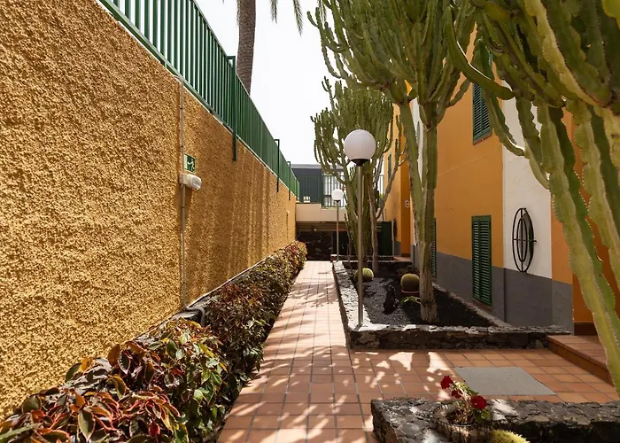 Apartment Cordial Judoca (adults Only) Playa del Ingles (Gran Canaria)