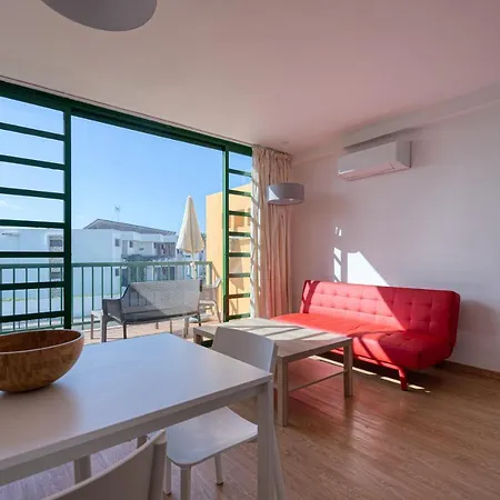 Cordial Judoca (adults Only) *