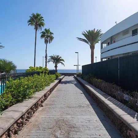 Cordial Judoca (adults Only)