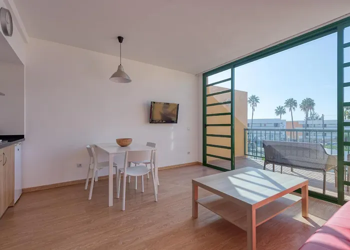 Cordial Judoca (adults Only)