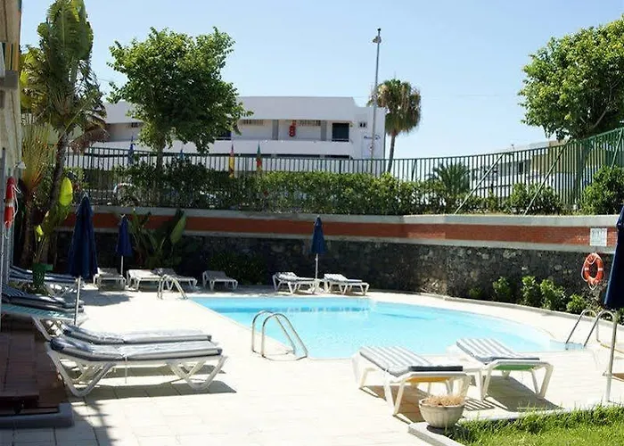 Cordial Judoca (adults Only)