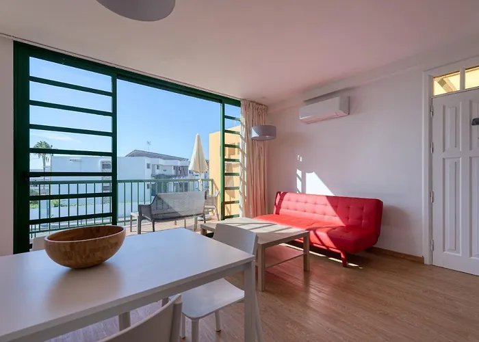 Cordial Judoca (adults Only) *