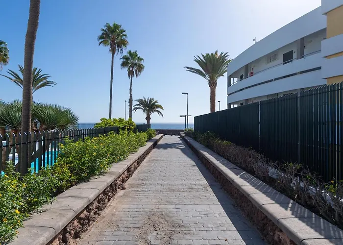 Cordial Judoca (adults Only)