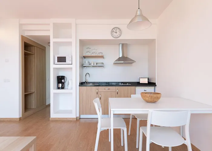 Cordial Judoca (adults Only)